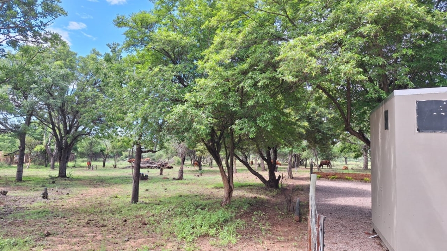 3 Bedroom Property for Sale in Bela Bela Limpopo
