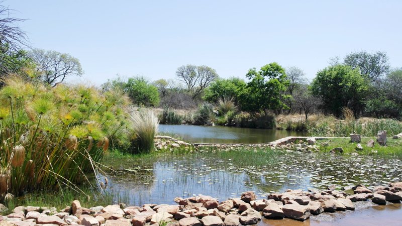 0 Bedroom Property for Sale in Euphoria Golf Estate Limpopo