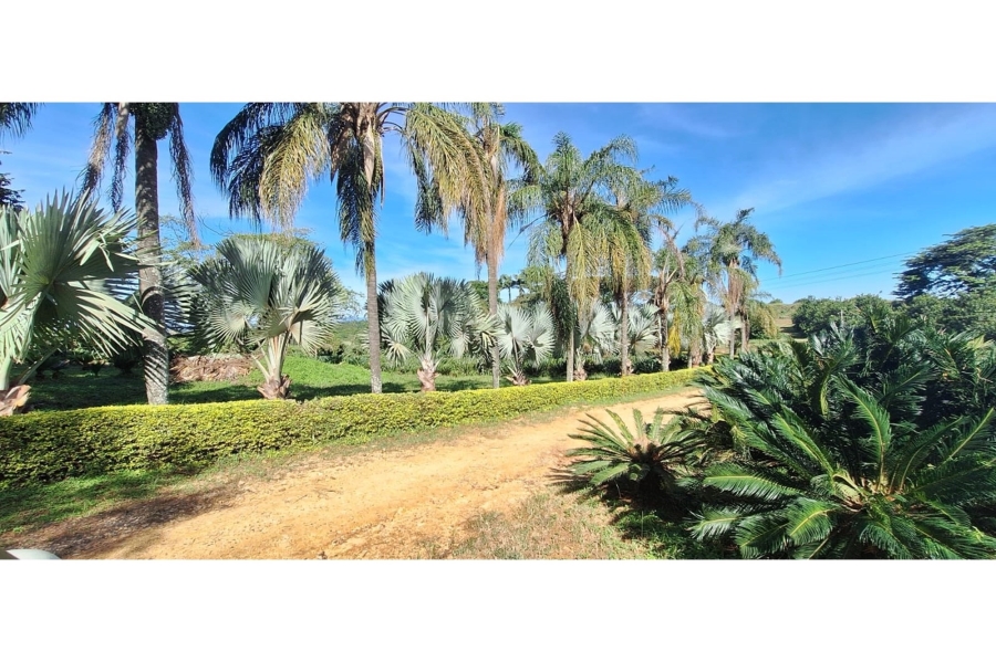 18 Bedroom Property for Sale in Levubu Limpopo