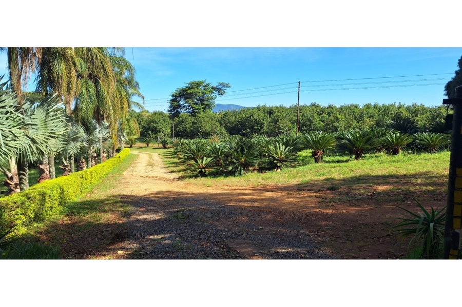 18 Bedroom Property for Sale in Levubu Limpopo
