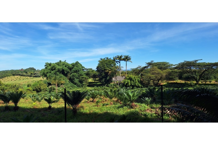 18 Bedroom Property for Sale in Levubu Limpopo