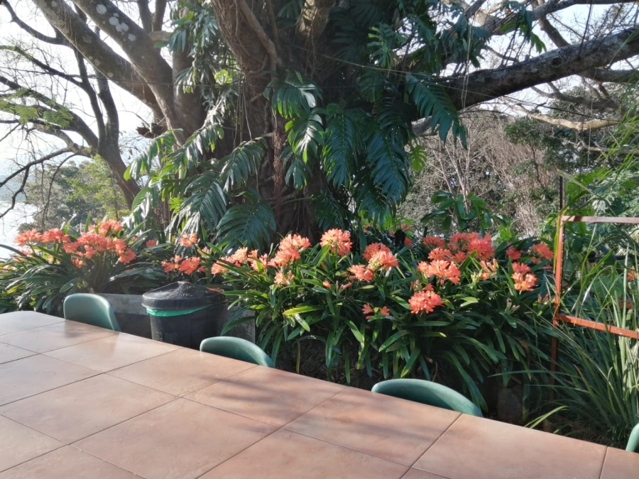 Commercial Property for Sale in Levubu Limpopo