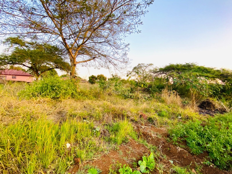 0 Bedroom Property for Sale in Thohoyandou Limpopo