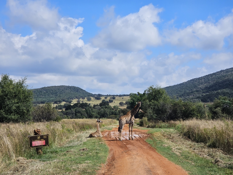 3 Bedroom Property for Sale in Modimolle Limpopo