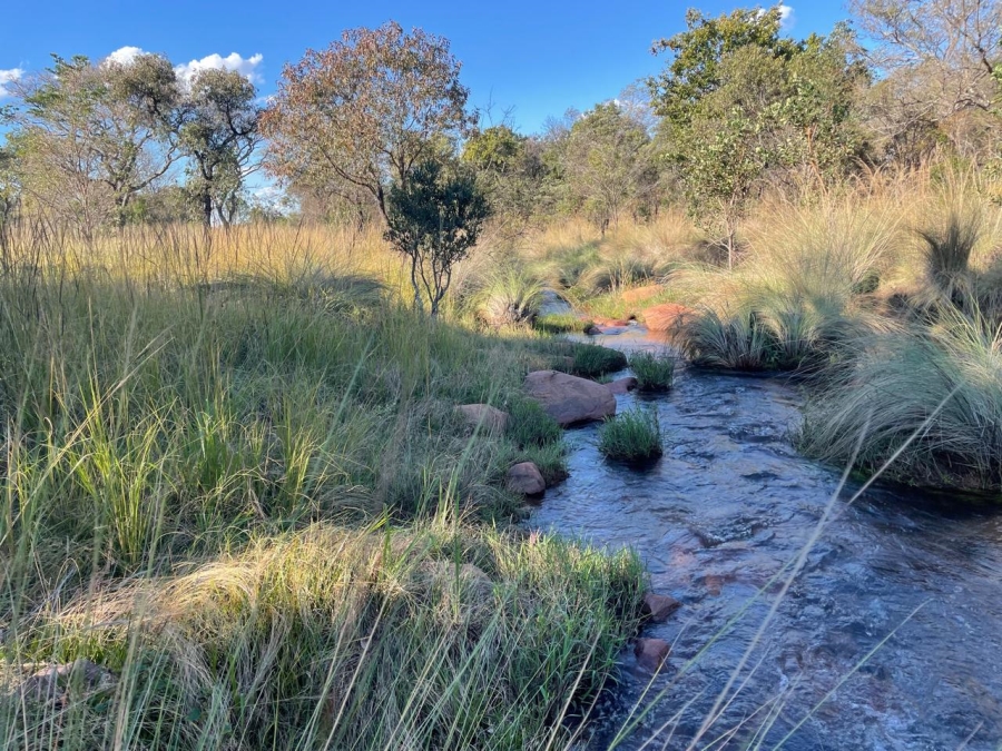 0 Bedroom Property for Sale in Vaalwater Limpopo
