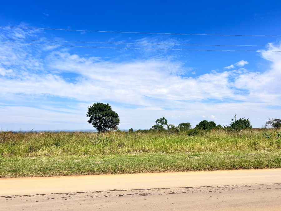 0 Bedroom Property for Sale in Louis Trichardt Limpopo