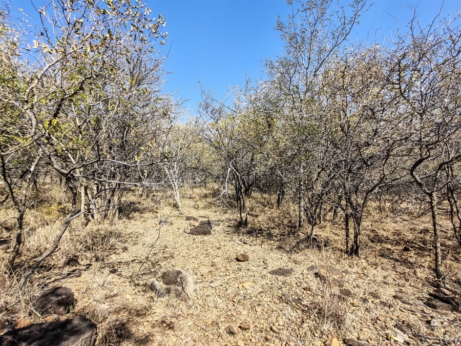 0 Bedroom Property for Sale in Blyde Botanical Reserve Limpopo