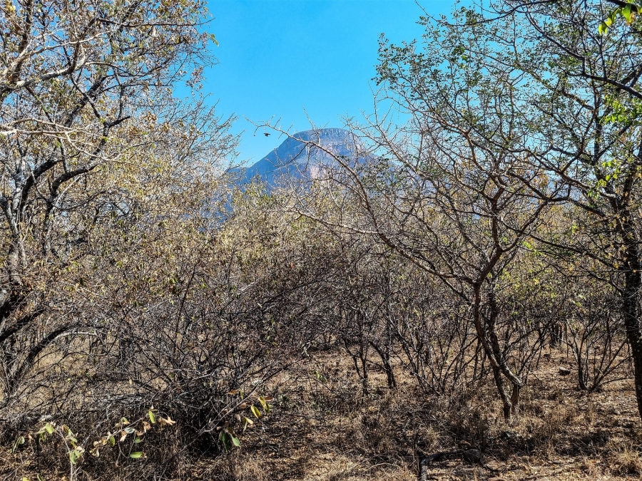 0 Bedroom Property for Sale in Blyde Botanical Reserve Limpopo