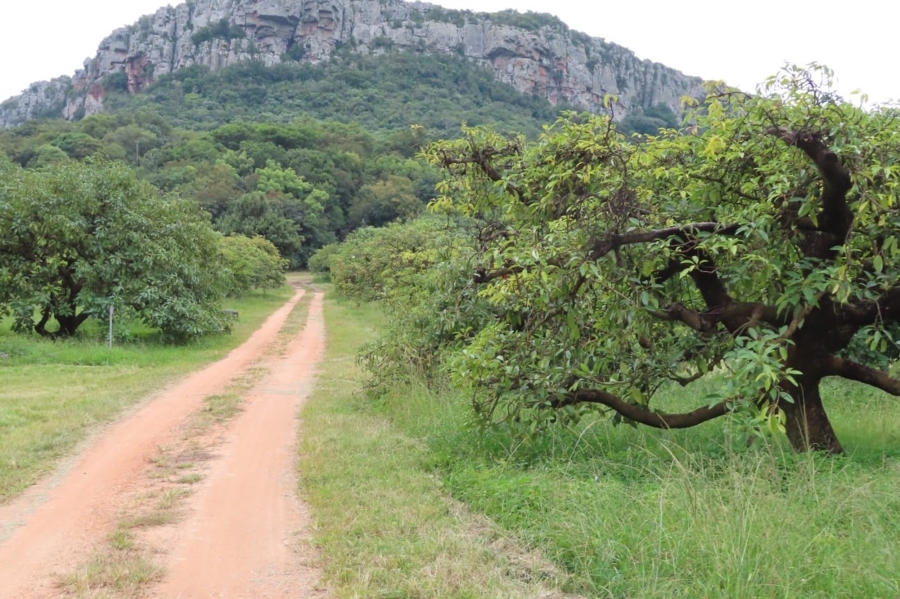 4 Bedroom Property for Sale in Louis Trichardt Limpopo