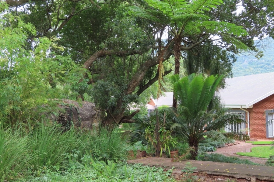 4 Bedroom Property for Sale in Louis Trichardt Limpopo