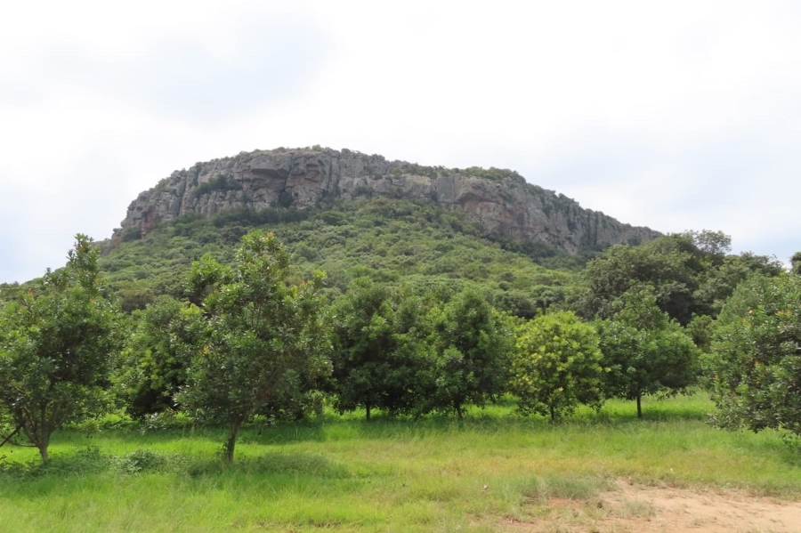 4 Bedroom Property for Sale in Louis Trichardt Limpopo