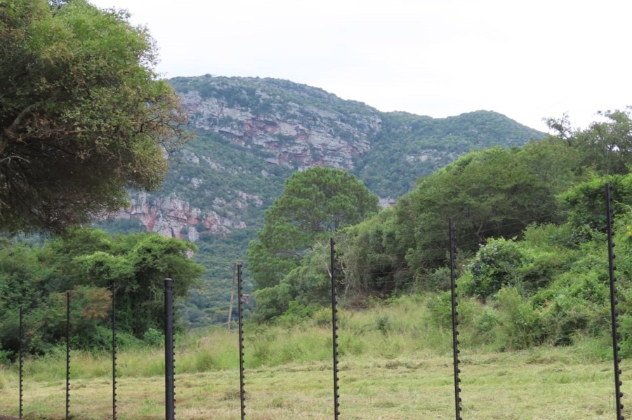 4 Bedroom Property for Sale in Louis Trichardt Limpopo