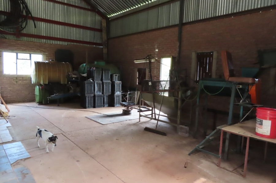 4 Bedroom Property for Sale in Louis Trichardt Limpopo