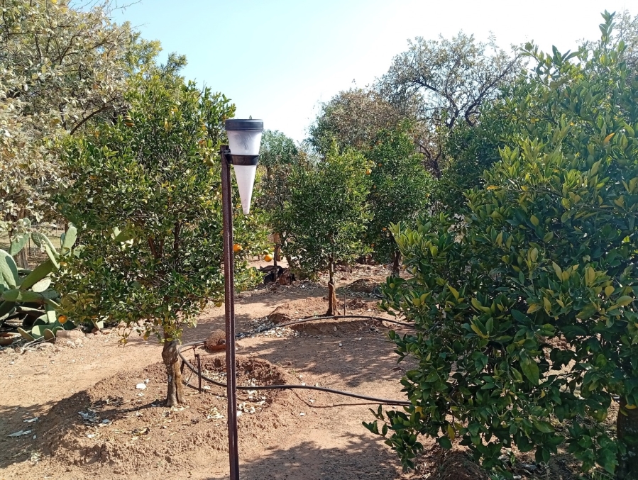 4 Bedroom Property for Sale in Bela Bela Limpopo