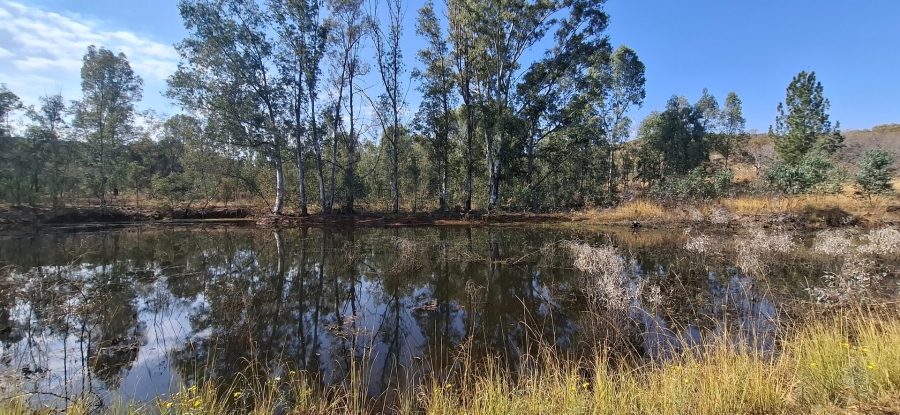 4 Bedroom Property for Sale in Bela Bela Limpopo