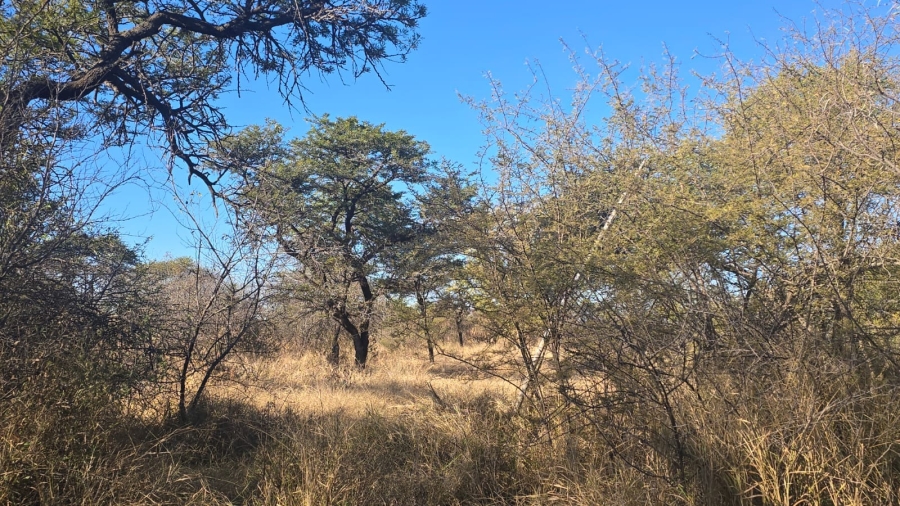 0 Bedroom Property for Sale in Bela Bela Limpopo