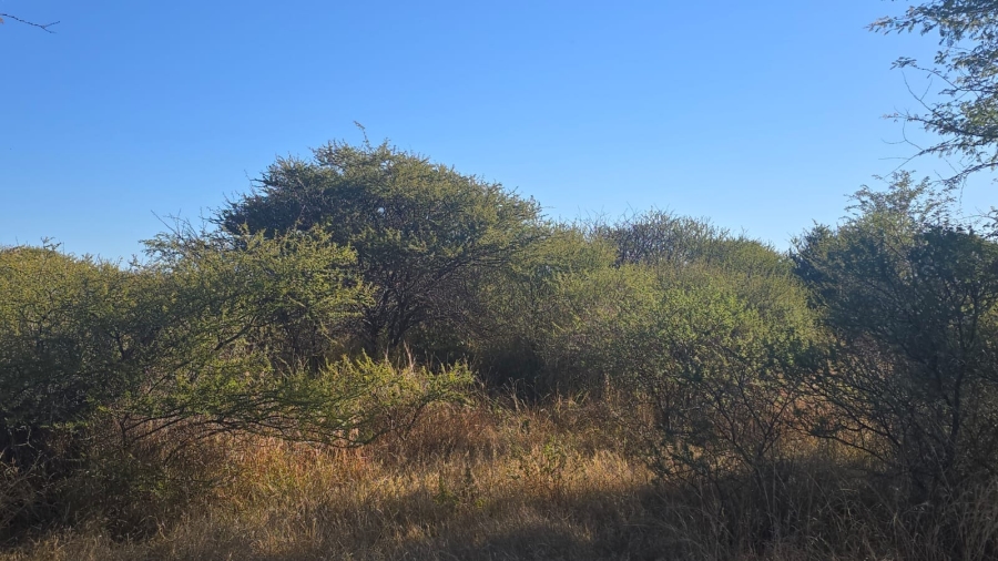 0 Bedroom Property for Sale in Bela Bela Limpopo