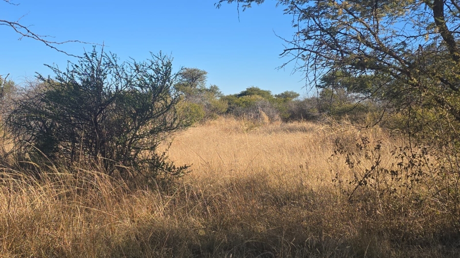 0 Bedroom Property for Sale in Bela Bela Limpopo