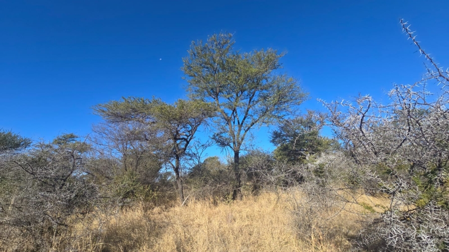 0 Bedroom Property for Sale in Bela Bela Limpopo