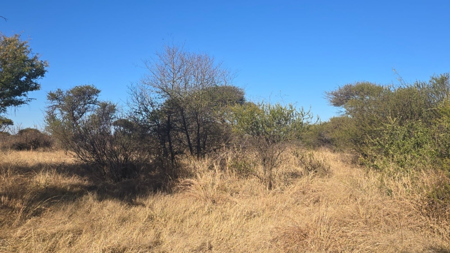 0 Bedroom Property for Sale in Bela Bela Limpopo