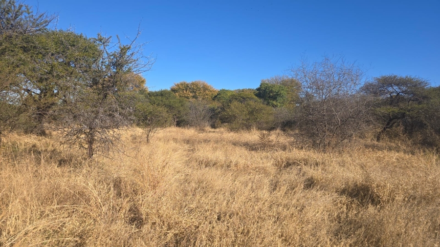 0 Bedroom Property for Sale in Bela Bela Limpopo