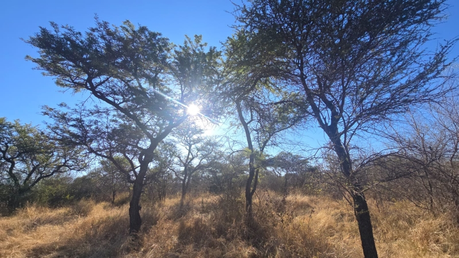 0 Bedroom Property for Sale in Bela Bela Limpopo