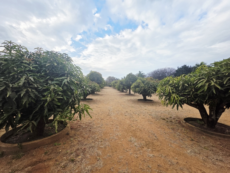 9 Bedroom Property for Sale in Mookgopong Limpopo