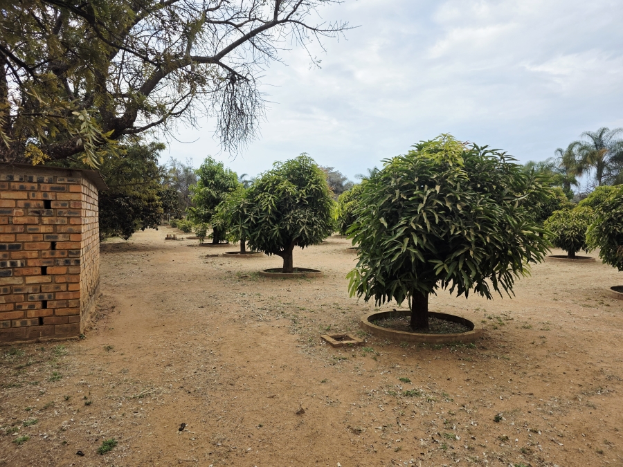 9 Bedroom Property for Sale in Mookgopong Limpopo