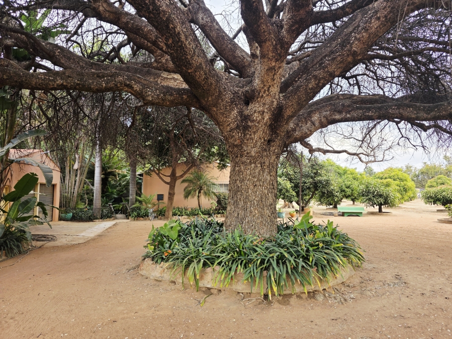 9 Bedroom Property for Sale in Mookgopong Limpopo