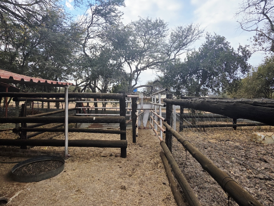 9 Bedroom Property for Sale in Mookgopong Limpopo