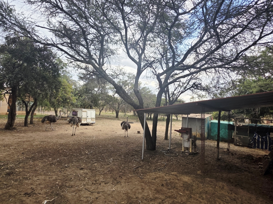 9 Bedroom Property for Sale in Mookgopong Limpopo