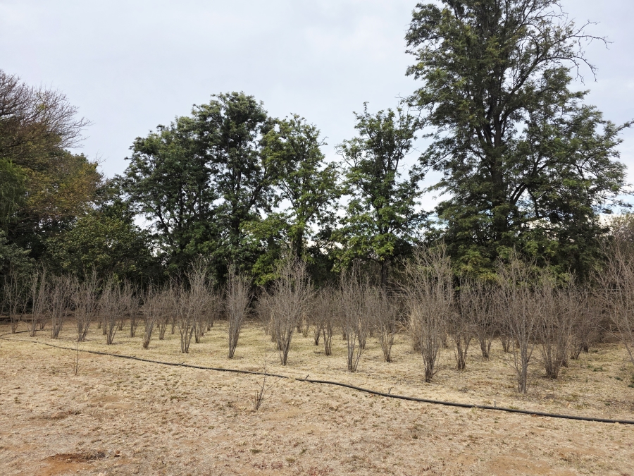 9 Bedroom Property for Sale in Mookgopong Limpopo