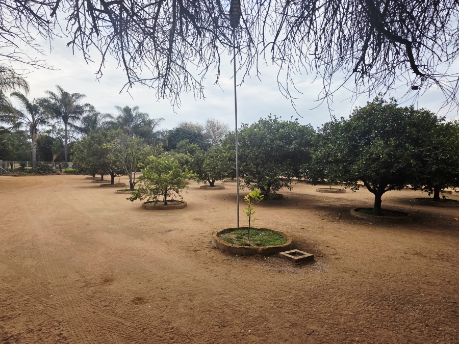 9 Bedroom Property for Sale in Mookgopong Limpopo
