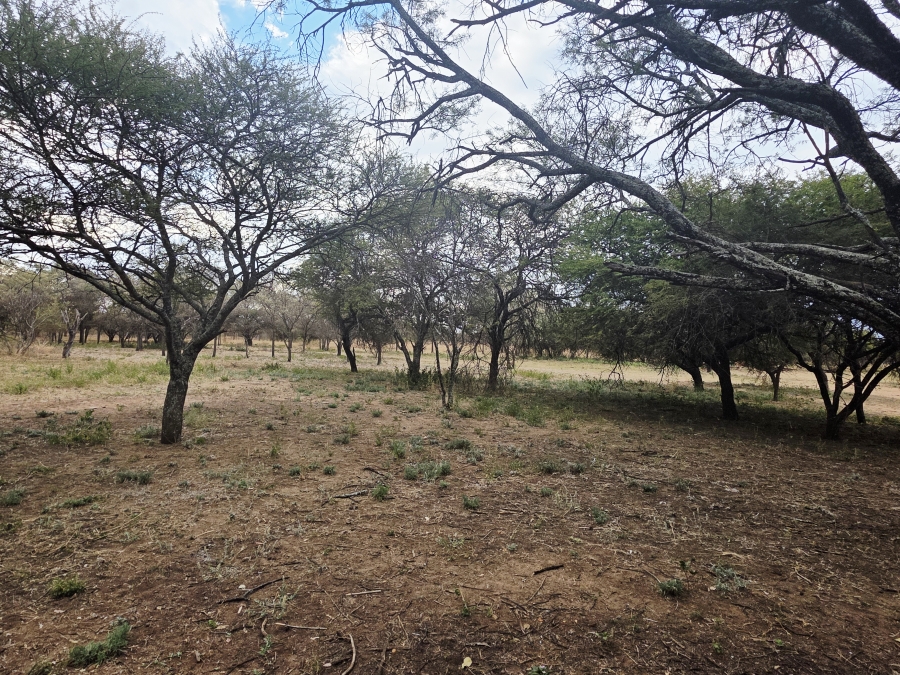 9 Bedroom Property for Sale in Mookgopong Limpopo