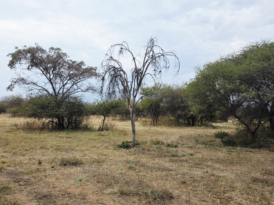 9 Bedroom Property for Sale in Mookgopong Limpopo
