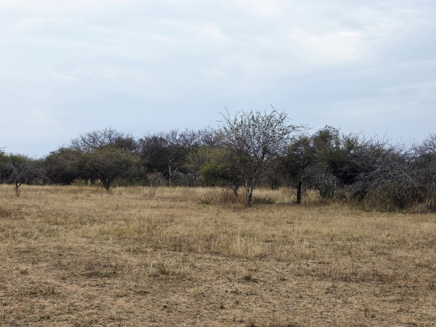 9 Bedroom Property for Sale in Mookgopong Limpopo