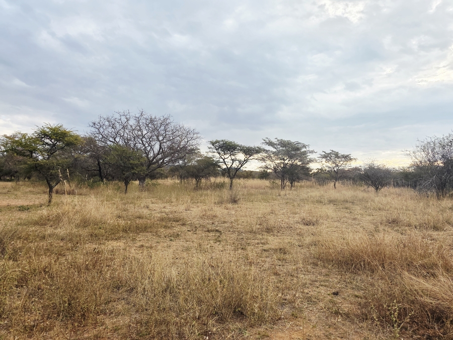 9 Bedroom Property for Sale in Mookgopong Limpopo