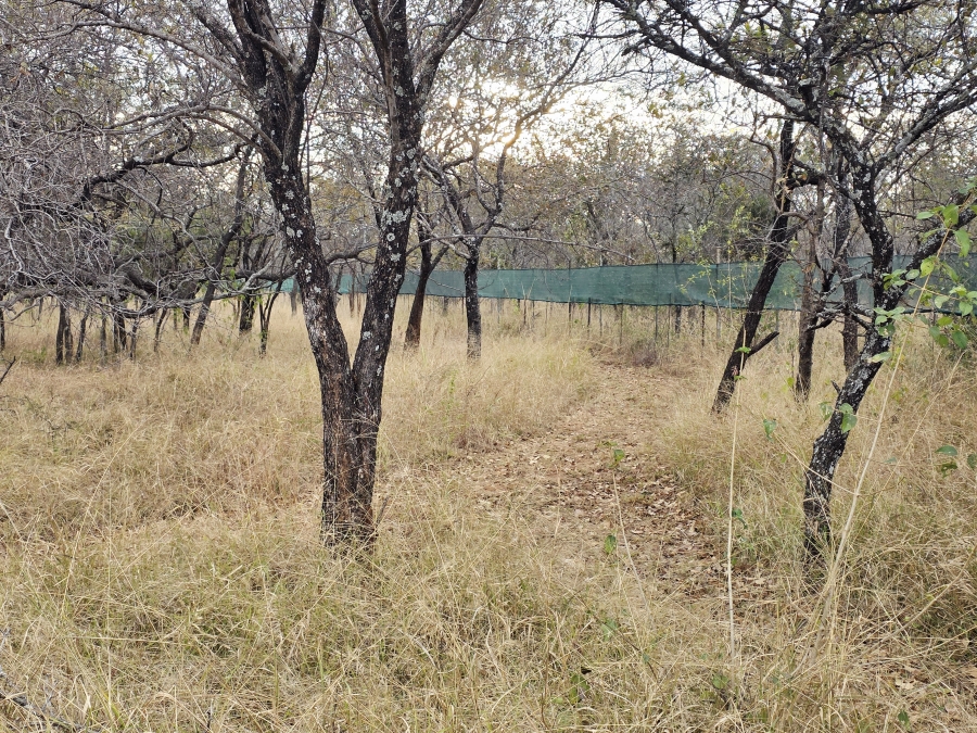 9 Bedroom Property for Sale in Mookgopong Limpopo