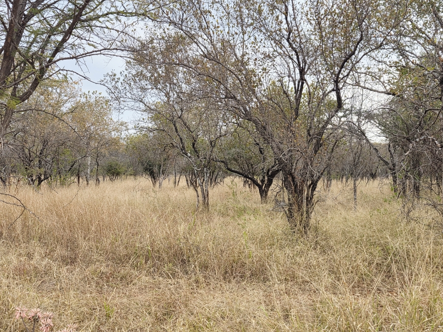 9 Bedroom Property for Sale in Mookgopong Limpopo