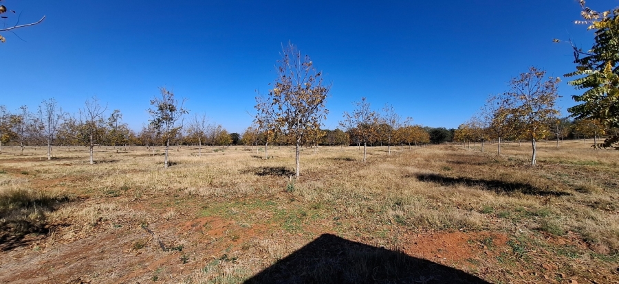 9 Bedroom Property for Sale in Bela Bela Limpopo