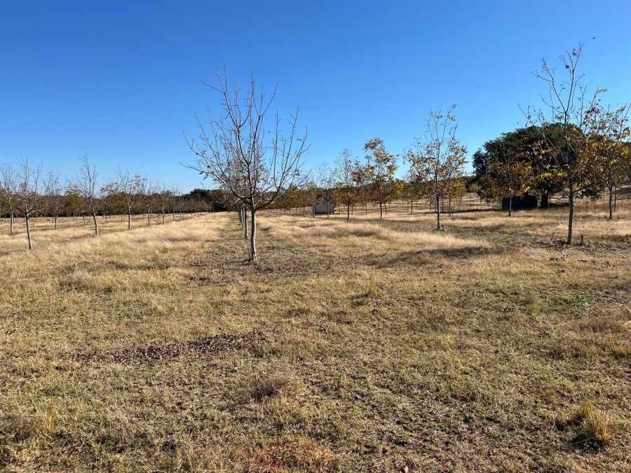 9 Bedroom Property for Sale in Bela Bela Limpopo