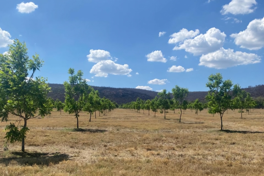9 Bedroom Property for Sale in Bela Bela Limpopo