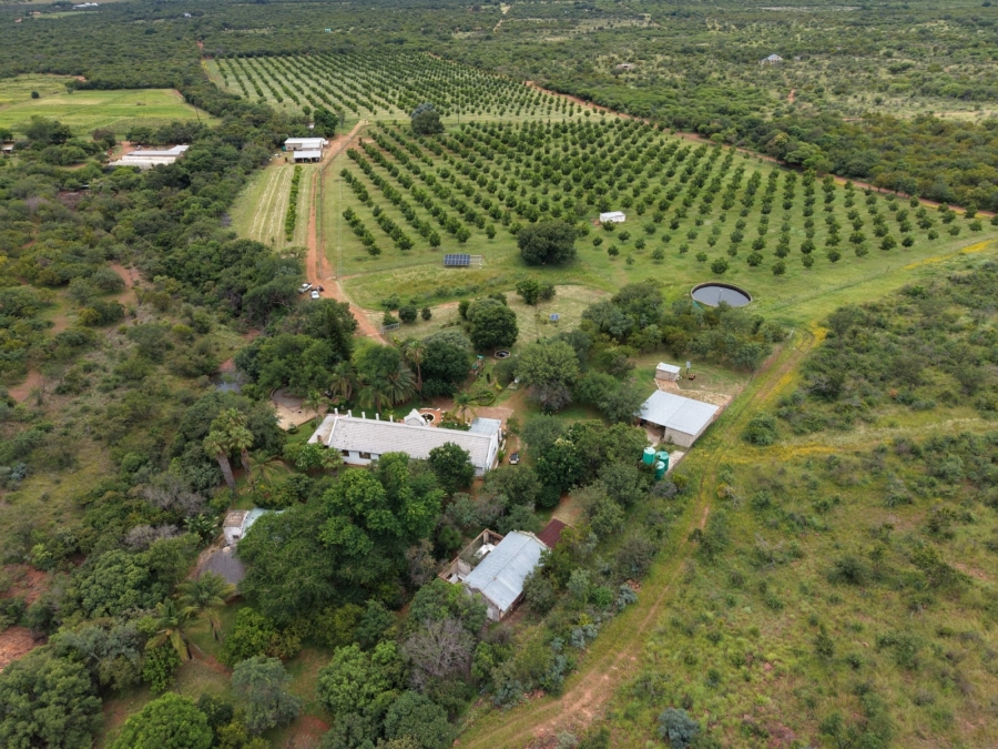 9 Bedroom Property for Sale in Bela Bela Limpopo