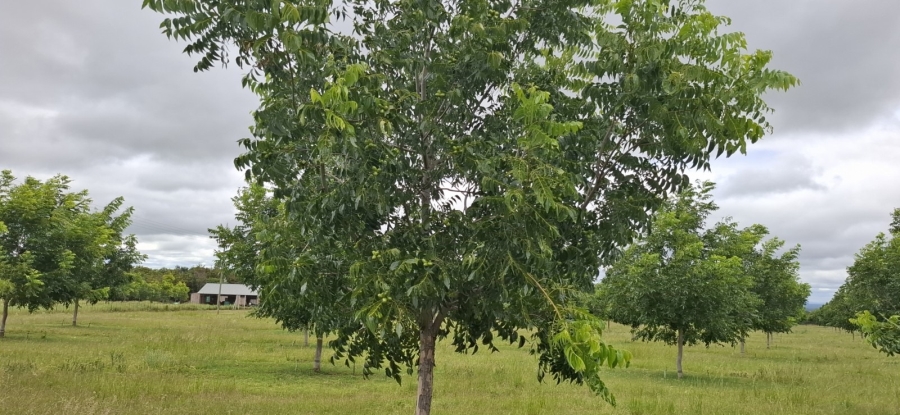 9 Bedroom Property for Sale in Bela Bela Limpopo