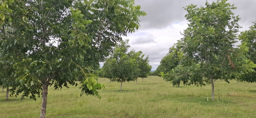 9 Bedroom Property for Sale in Bela Bela Limpopo