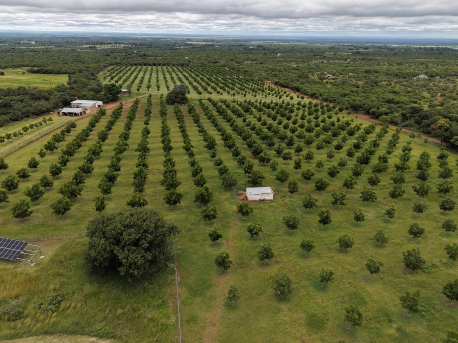 9 Bedroom Property for Sale in Bela Bela Limpopo