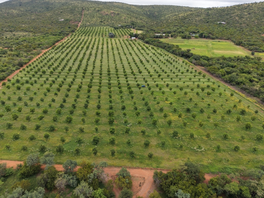 9 Bedroom Property for Sale in Bela Bela Limpopo