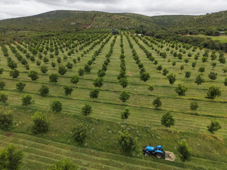 9 Bedroom Property for Sale in Bela Bela Limpopo