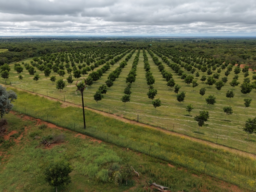 9 Bedroom Property for Sale in Bela Bela Limpopo