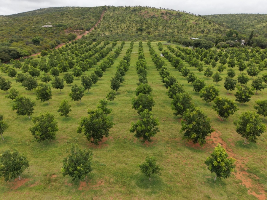 9 Bedroom Property for Sale in Bela Bela Limpopo